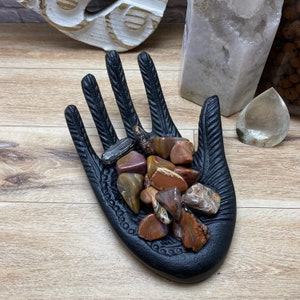 Polished Petrified Wood Tumbles: Small Morocco Pocket Stones