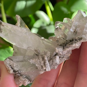 May include: A cluster of clear quartz crystals with a gray, speckled matrix. The crystals are sharp and pointed, with a translucent appearance.