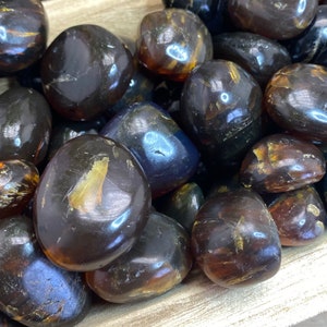 May include: A close-up of a collection of tumbled amber stones. The stones are a deep brown color with hints of gold and yellow. They are smooth and polished, with a glossy finish.