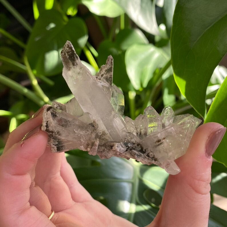 May include: A cluster of clear quartz crystals with a gray, earthy matrix. The crystals are pointed and have a translucent appearance.