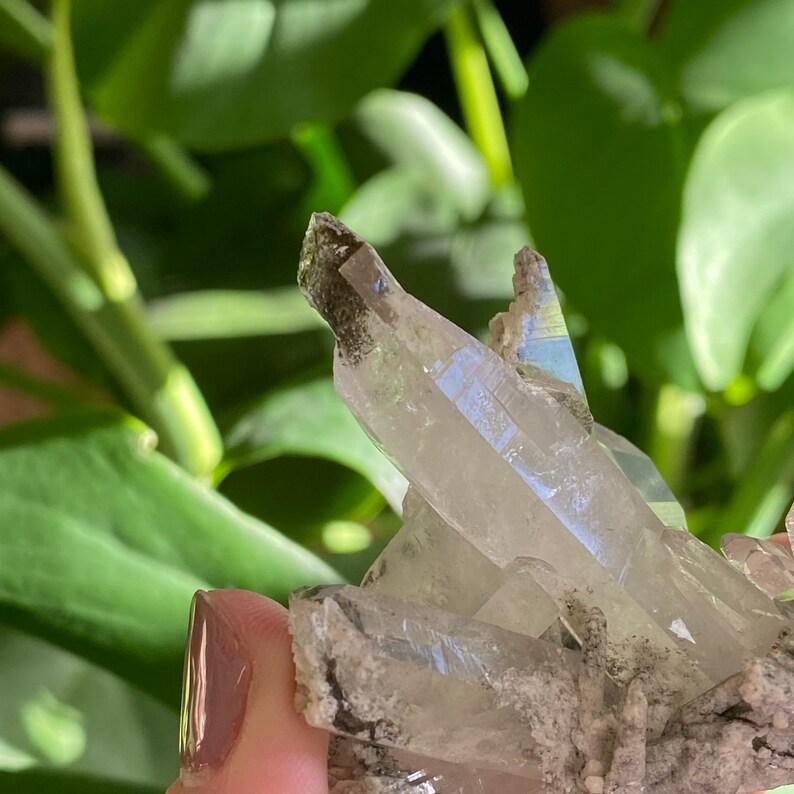 May include: A cluster of clear quartz crystals with a gray, cloudy matrix. The crystals are pointed and have a slight iridescent sheen.