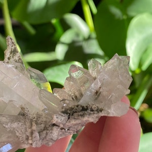 May include: A cluster of clear quartz crystals with a green hue, set on a gray matrix. The crystals are pointed and have a natural, rough texture.