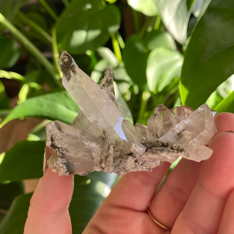 May include: A cluster of clear quartz crystals with a gray, textured base. The crystals are pointed and have a natural, raw look.