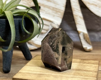 Brazilian Garden Quartz Freeform: Scenic Lodalite Crystal