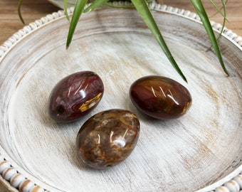 Petrified Wood Palm Stones l | Crystal Stones | Petrified Wood | Fossil Wood | Polished Minerals