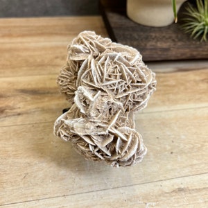 Desert Rose Cluster | Gypsum Mineral Cluster | Selenite and Barite Rosettes | Mexican Desert Gypsum Rose