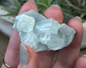 Blue-Gray Druzy Chalcedony with Calcite and  Apophyllite Mineral Specimen | Zeolite from India | Natural Raw Zeolite Specimen