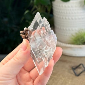 Naica Selenite Crystal: Raw Gypsum Mineral Specimen, Collector Grade