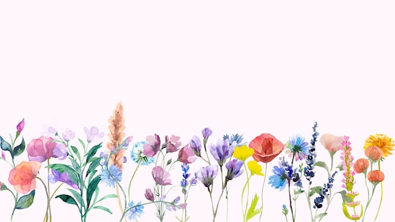 Beautiful Flower Wallpaper HD 07639 - Baltana