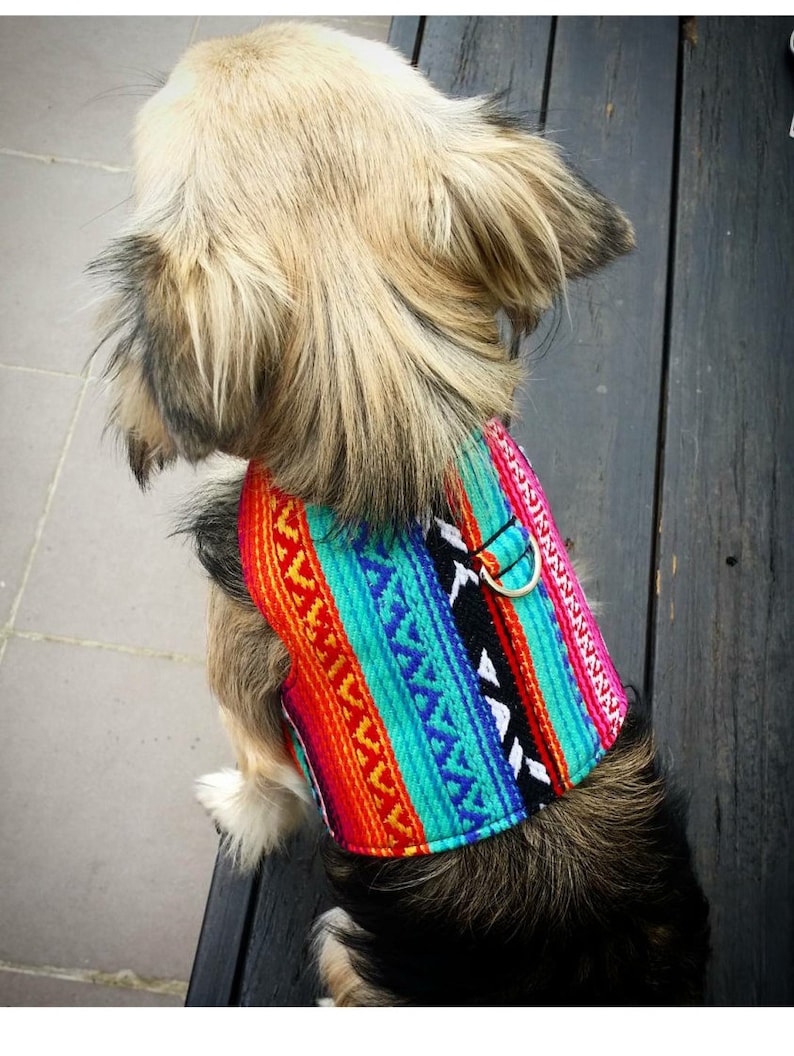 Mexican Dog Harness, Dog Vest, Pet Accessories, Chihuahua Harness, Pet Harness image 5