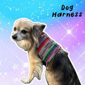 Colete para cães feito à mão em tecido mexicano, com fecho de velcro seguro.