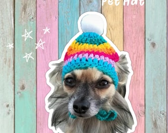 Rainbow Crochet Dog Beanie with Pom Pom