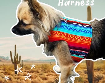 Arnés mexicano para perros: chaleco elegante y cómodo para mascotas con sistema de cierre de velcro seguro.