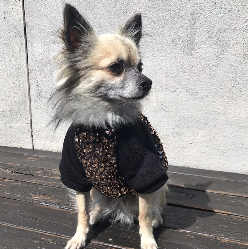 Hunde Teddy Fleece Pullover, Hundeshirt, Kleine Hundekleidung, Hundetop, Hundebekleidung, Hundeaccessoires Bild 1