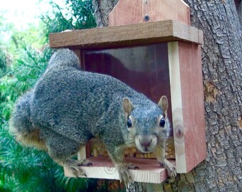 Squirrel Feeder Box Standard - Cedar Wood - Handcrafted - Birds Wildlife Chipmunks - Garden Decor