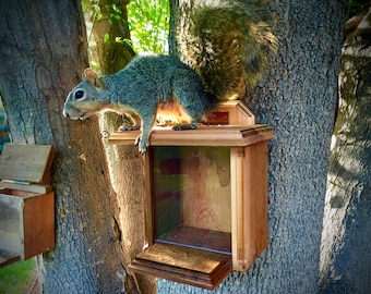 Squirrel Feeder Box Luxury Model - Beautiful Handcrafted Cedar - Chipmunks Birds Wildlife - Backyard Decor