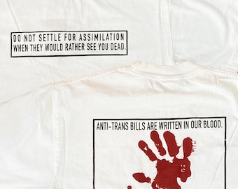 Los proyectos de ley antitrans están escritos en nuestra sangre / derechos trans / queer / actuar / el silencio equivale a muerte / liberación / contraatacar