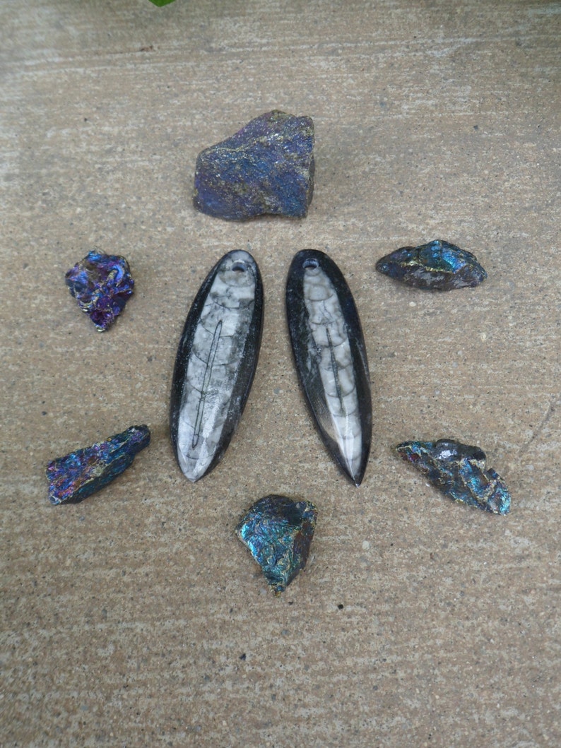 Drilled Bead DIY Crafts Unisex Jewelry Polished Fossil Gifts Pendant Orthoceras Fossil