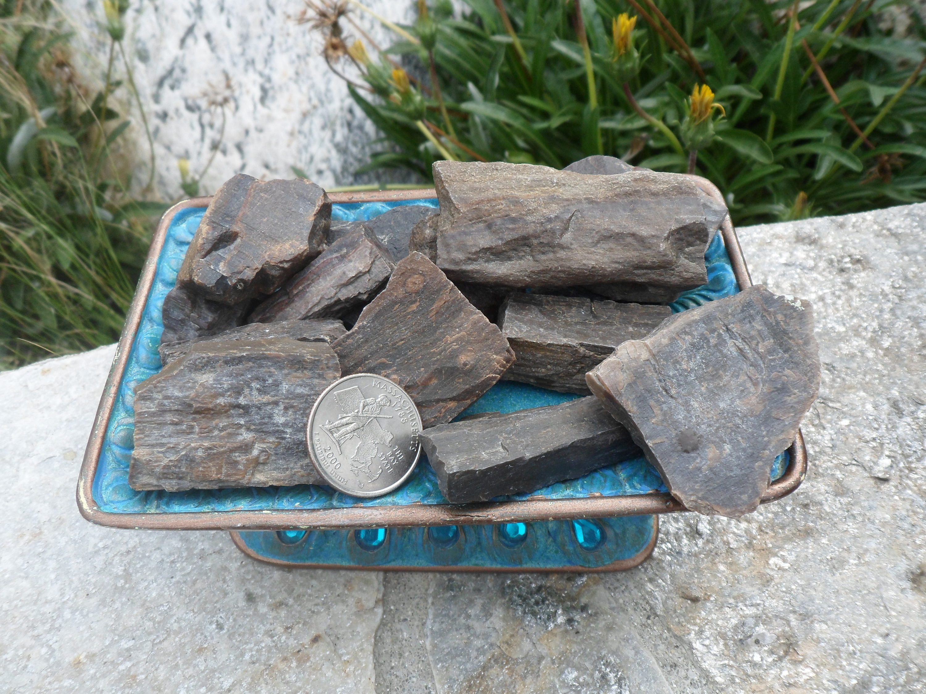SALE 2pc Opalized Petrified Wood from Wyoming Rough Rock Etsy