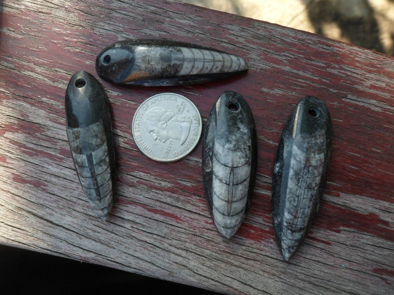 Drilled Bead DIY Crafts Unisex Jewelry Polished Fossil Gifts Pendant Orthoceras Fossil