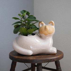 May include: A ceramic cat-shaped planter in a speckled, off-white color, with a tan face and ears. The planter holds a green leafy plant. The cat is sitting on a small, round, wooden stool.
