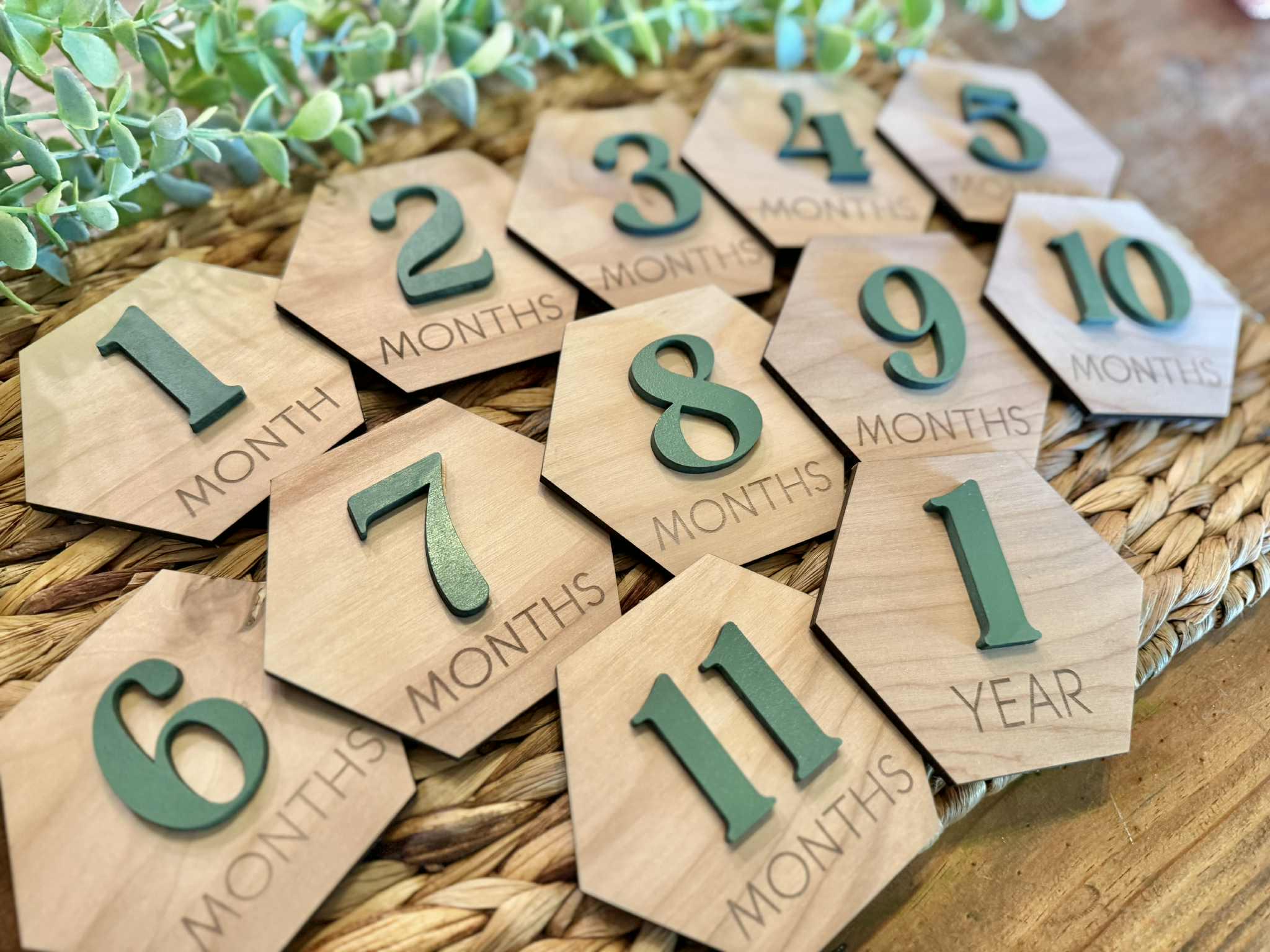 Monthly Milestone Cards for Baby Photos | 3D Wood Engraved Monthly ...