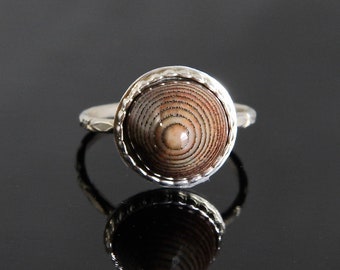 Bulls Eye Fossil Fish Palate Ring, Sized to Order, Sterling Silver Bezel Set, Handmade Metalsmith Gemstone Jewelry, Candy Gum Drop Agate