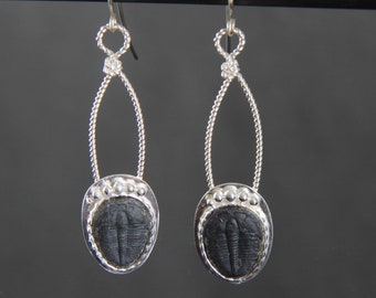 Trilobite Long Drop Earrings, Sterling 925 Silver Wire, Handmade Metalsmith Crafted, Dark Grey Fossils, Shoulder Duster Statement, Unique