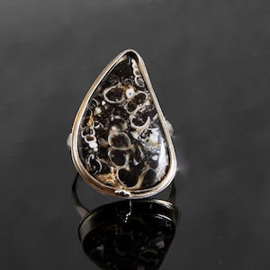 Handmade Turritella Fossil Agate Ring, Teardrop Cabochon Gemstone, Sized to Order, Sterling Silver Metalsmith, Snail Fossil Statement