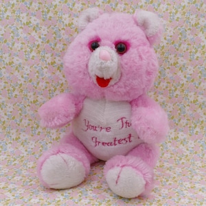 1980&#39;s Clone Care Bear Soft Toy &#39;You&#39;re The Greatest&#39; Fun World Taiwan