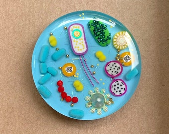 May include: A round, blue microbe-themed brooch with colorful polymer clay details, including bacteria and other microscopic elements. The brooch is set in a cardboard box with the word "microbes" printed on a label.