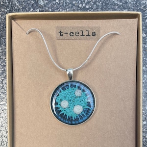 May include: A silver chain necklace with a round pendant featuring a blue and white illustration of a T-cell. The pendant is in a box with the text "t-cells" and "handmade in cambridge, uk" and the social media handle "@she.sells.cells" and website "shesellscells.com".