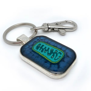 Mitochondrion Key Chain / Key Ring,  Mitochondria, Science Jewelry, Science Gift, STEM, Microbiology, Researcher Gift, Organelle, Cell