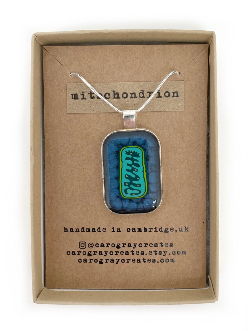May include: A silver chain necklace with a rectangular glass pendant featuring a blue and green illustration of a mitochondrion. The pendant is in a box with the text "mitochondrion" and "handmade in cambridge, uk" on the card inside.