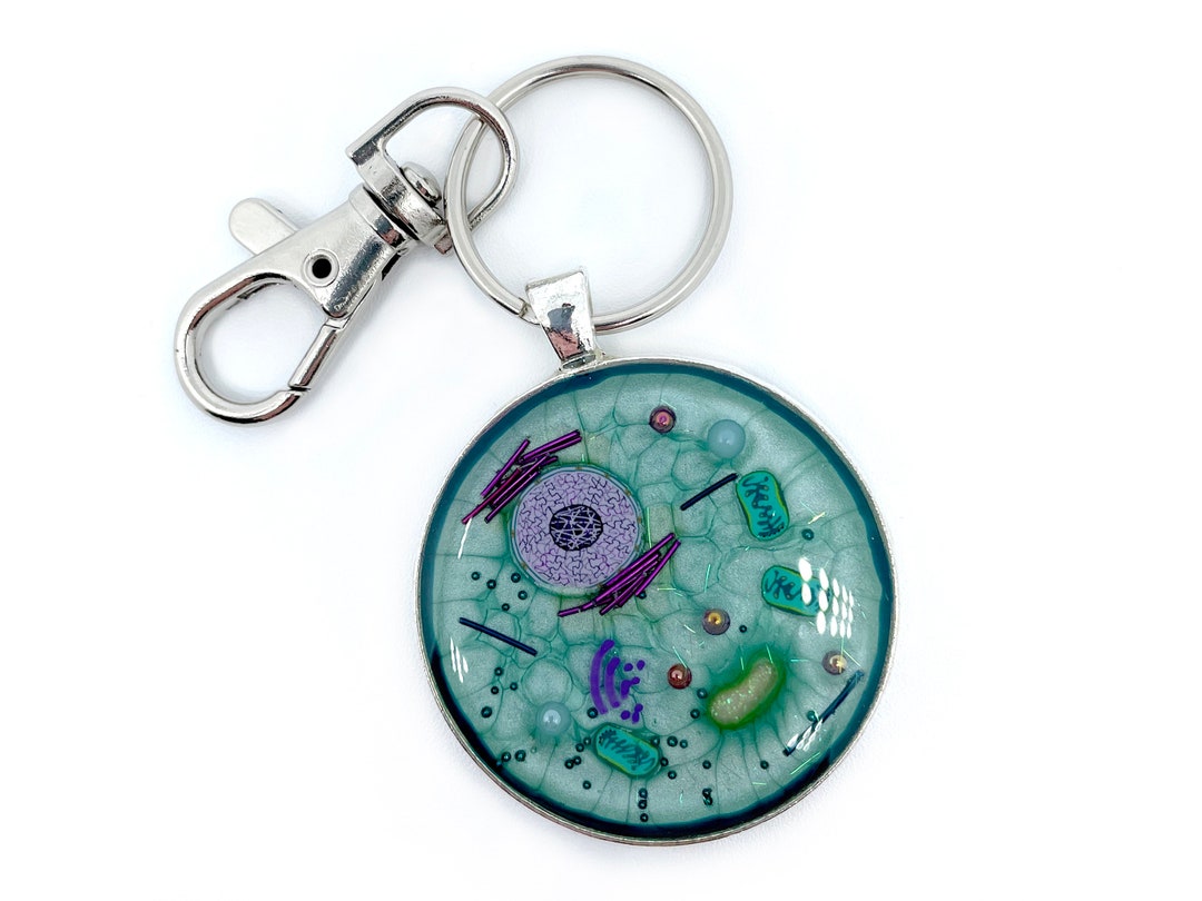 Animal Cell Keychain, Key Ring, Cell Biology, Biology Gift, Science Key Chain, Science Gift for Him, Handmade, Gift for Teacher, Scientist - Etsy