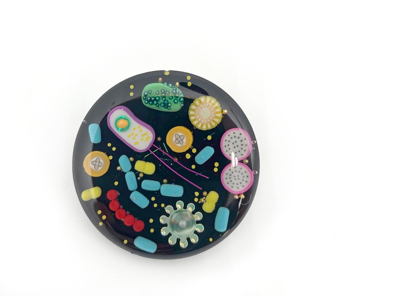 Science Brooch Microbe Brooch (BLACK) - Hand Crafted Brooch, Biology Jewellery ...