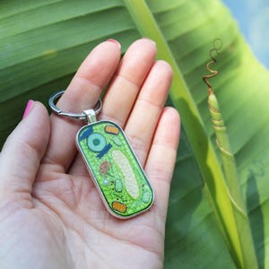 Plant Cell Key Chain - Key Ring - Cell Biology, Biology Gift, Key Chain, Science Gift, Handmade, Gift for Teacher, Gift for Scientist