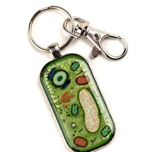 Plant Cell Key Chain - Key Ring - Cell Biology, Biology Gift, Key Chain, Science Gift, Handmade, Gift for Teacher, Gift for Scientist