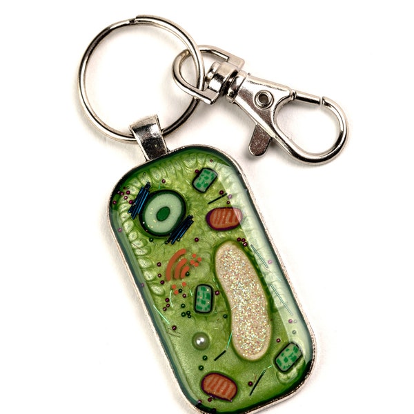 Plant Cell Key Chain - Key Ring - Cell Biology, Biology Gift, Key Chain, Science Gift, Handmade, Gift for Teacher, Gift for Scientist