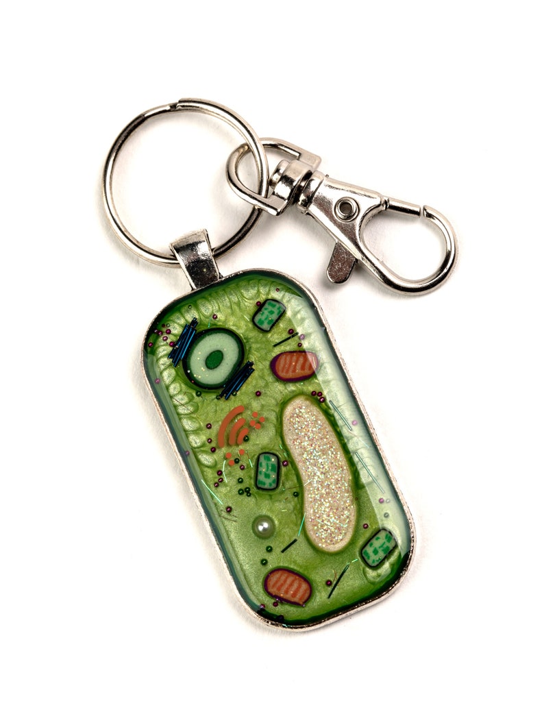 Plant Cell Key Chain Key Ring Cell Biology, Biology Gift, Key Chain, Science Gift, Handmade, Gift for Teacher, Gift for Scientist image 1