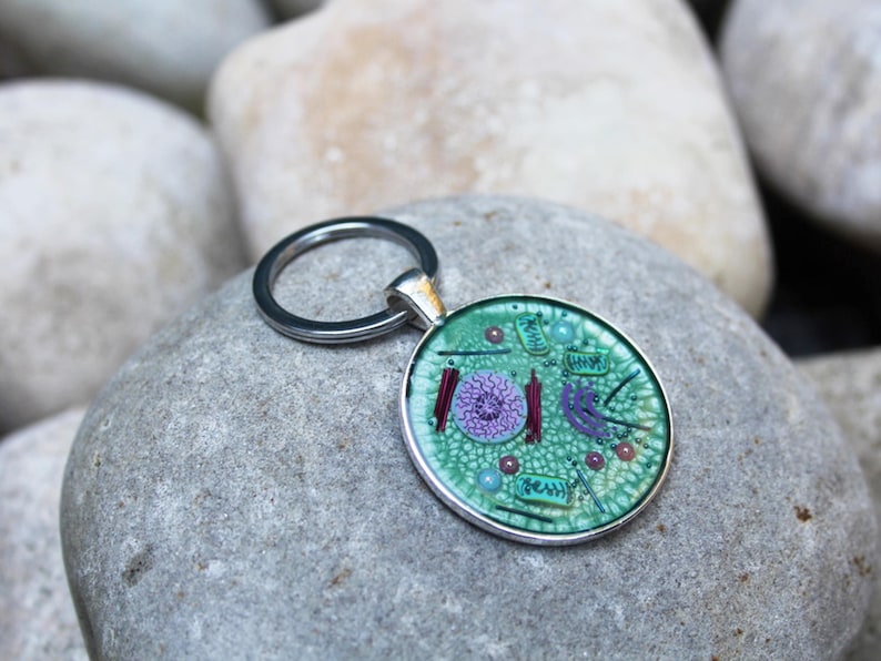 Animal Cell Keychain, Key Ring, Cell Biology, Biology Gift, Science Key ...