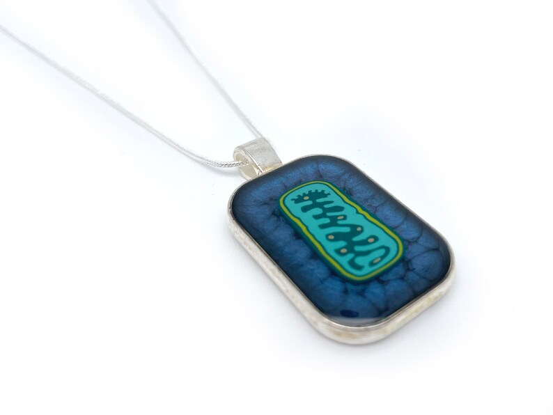 May include: A silver chain necklace with a rectangular pendant featuring a blue and green illustration of a mitochondrion.