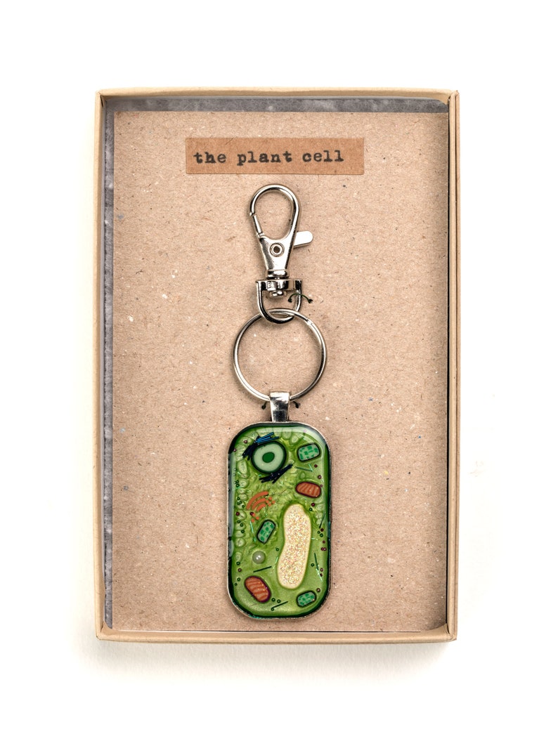 Plant Cell Key Chain Key Ring Cell Biology, Biology Gift, Key Chain, Science Gift, Handmade, Gift for Teacher, Gift for Scientist image 2