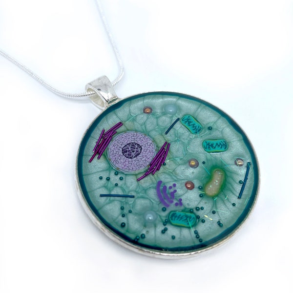 Animal Cell Pendant Necklace - Silver - Art Necklace, Biology Jewellery, Science Jewellery, Science Gift, Handmade, Gift for Teacher