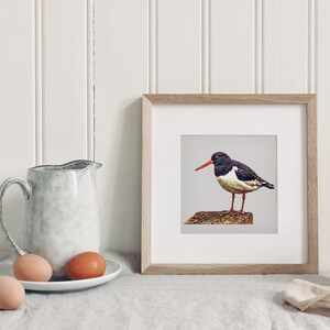 Oyster Catcher | Bird Art | Wildlife Watercolour Print