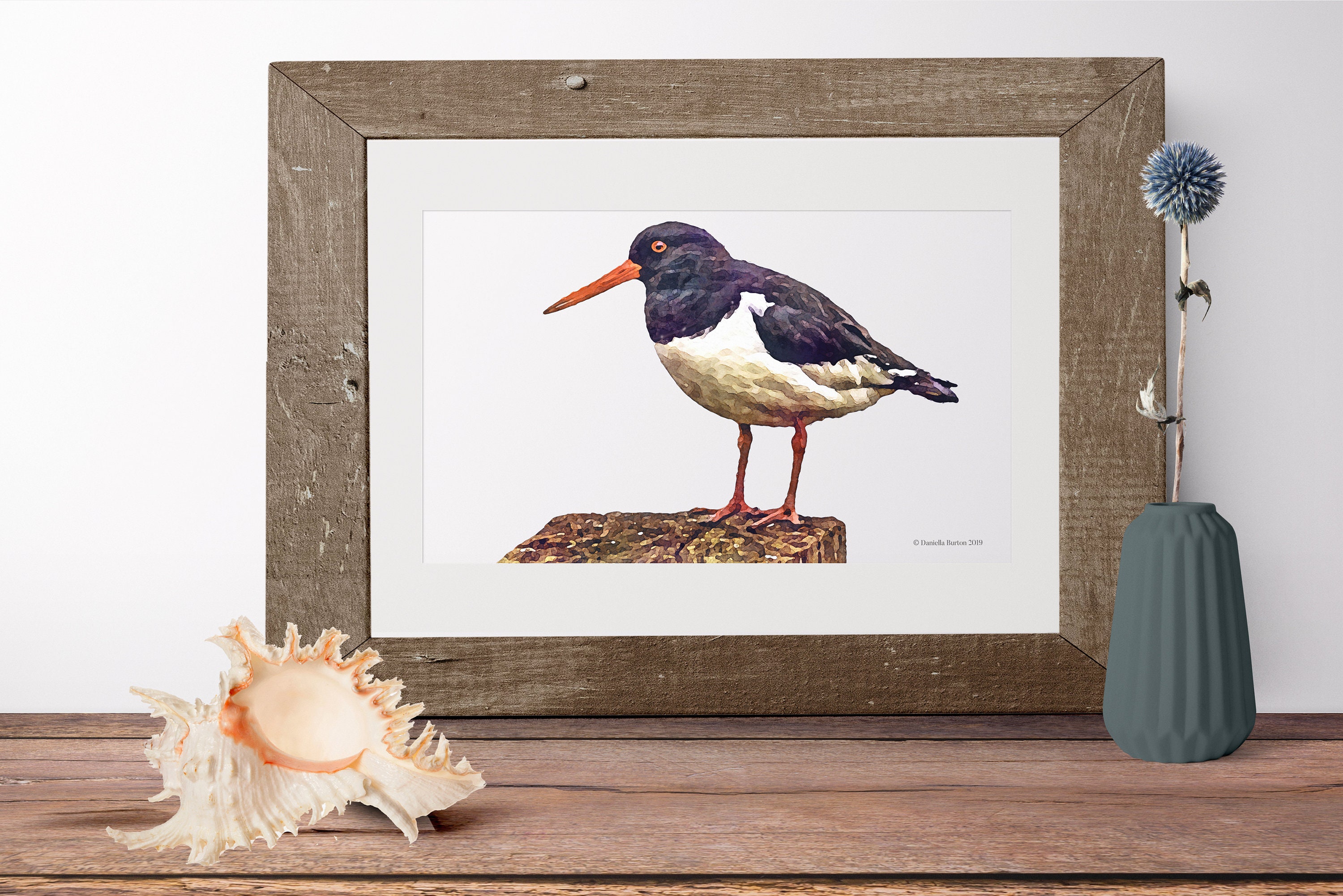Oyster Catcher Bird Art Wildlife Watercolour Print Etsy