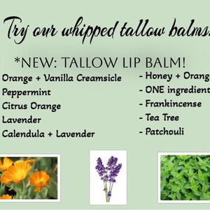 May include: A green background with the text "Try our whipped tallow balms: *NEW: TALLOW LIP BALM!"  The text lists different flavors of lip balm, including Orange + Vanilla Creamsicle, Peppermint, Citrus Orange, Lavender, Calendula + Lavender, Honey + Orange, ONE ingredient, Frankincense, Tea Tree, and Patchouli.  The image also includes three photos of plants: a yellow flower, a purple flower, and a green plant.