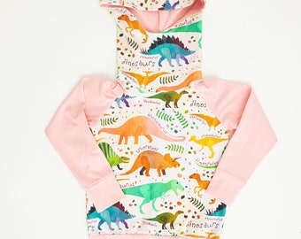 dinosaur Raglan hoodie/ dino sweater/ baby girl hoodie/ dino raglan/ dinosaur raglan/ Toddler hoodie/ baby raglan/ kids hoodie - Dinosaurs