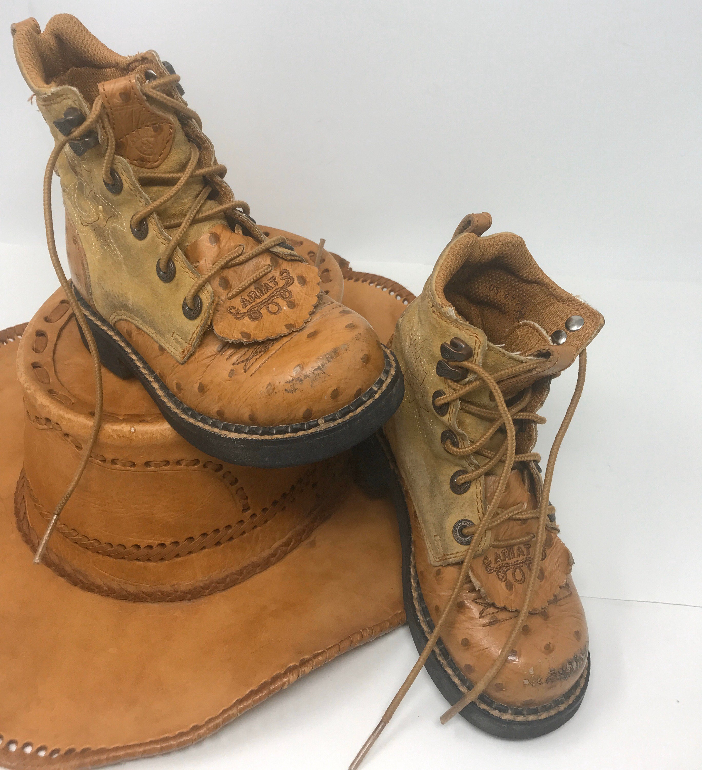 Ariat harvester shop work boot