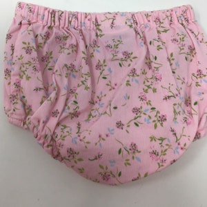 Laura Ashley Infant Dress and Bloomers,Laura Ashley, 6 month dress,Laura Ashley dress,prarie dress,Infant dress, dress image 5